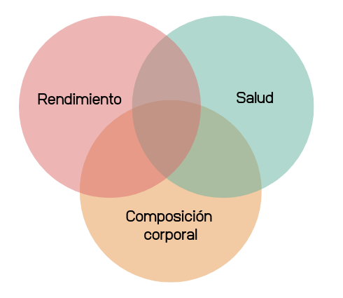 que significa una buena alimentacion o comer sano 1 e1733505941238