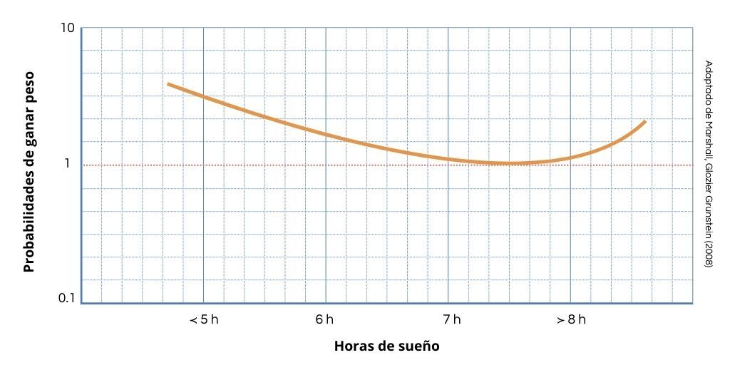 nutrición, alimentación, actividad física, fit360, vida activa, salud, entrenador personal, barcelona, sitges,