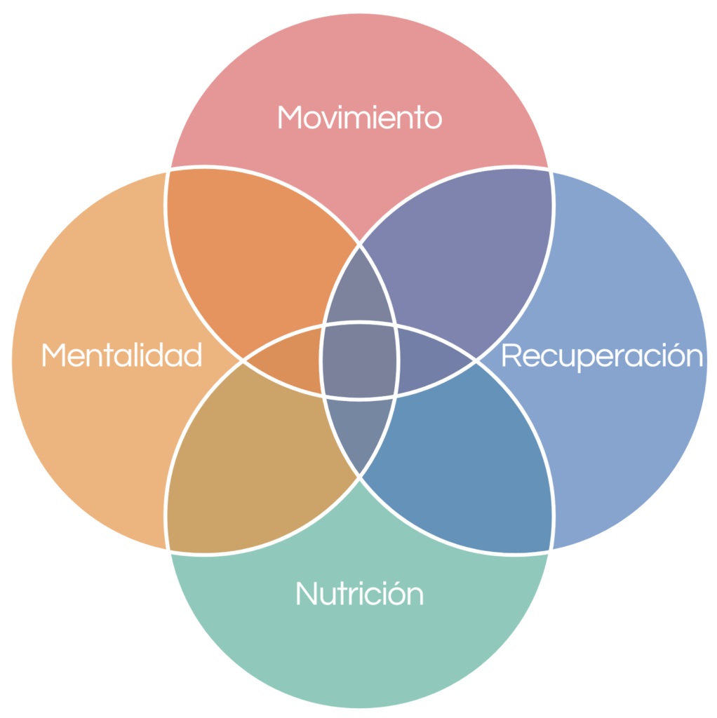 4 pilares fit360 ES copia